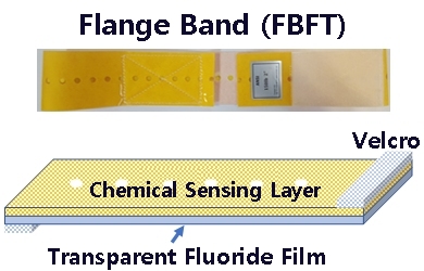 Flange Band